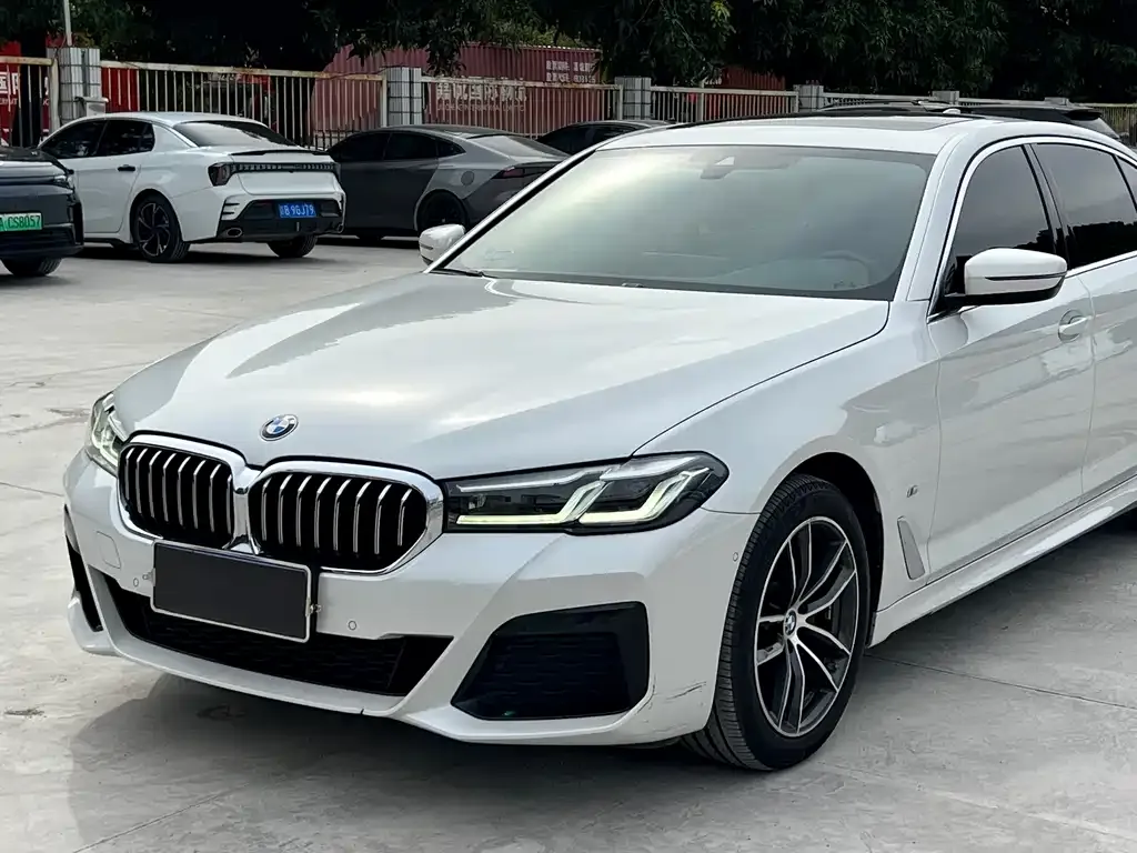 BMW 5 Series 2021 из CN, фото 9