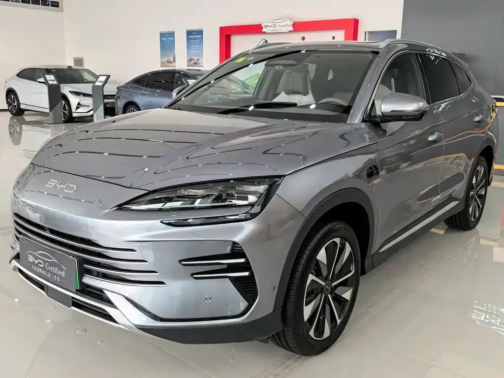 BYD PLUS New Energy — фото 1