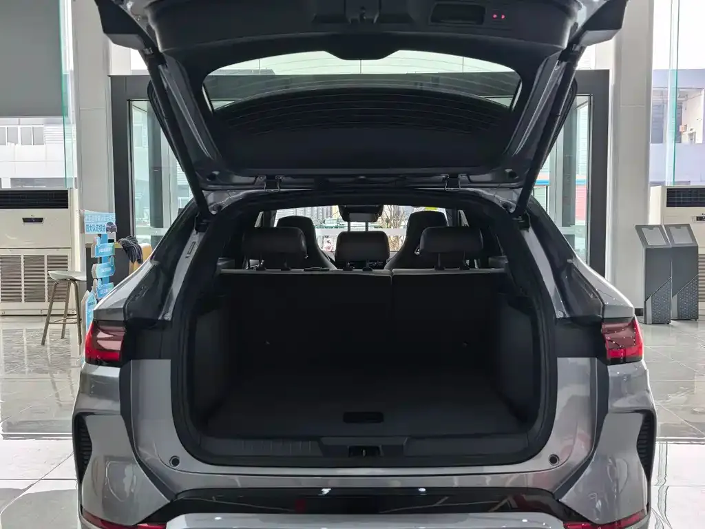BYD PLUS New Energy — фото 10