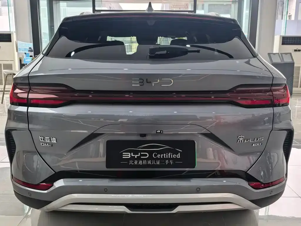 BYD PLUS New Energy — фото 3