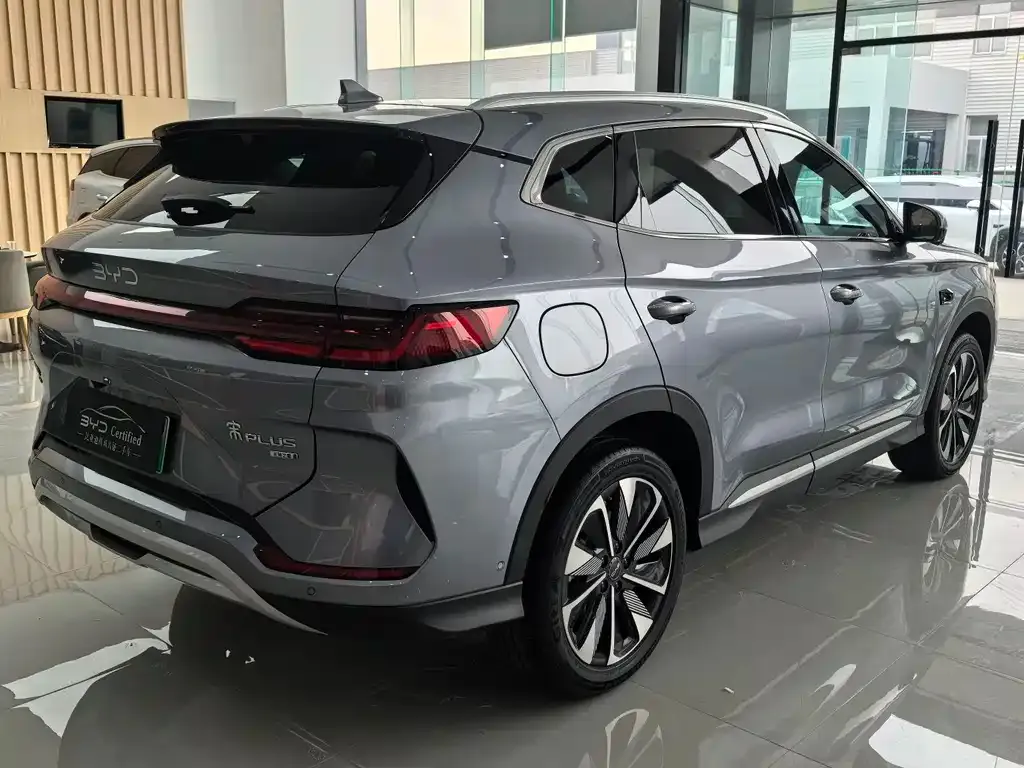 BYD PLUS New Energy — фото 4