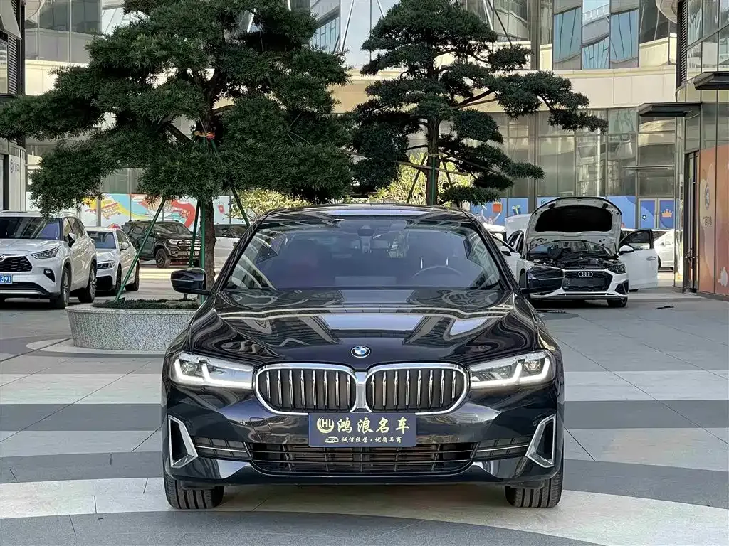 BMW 5 Series 2023 из CN, фото 2