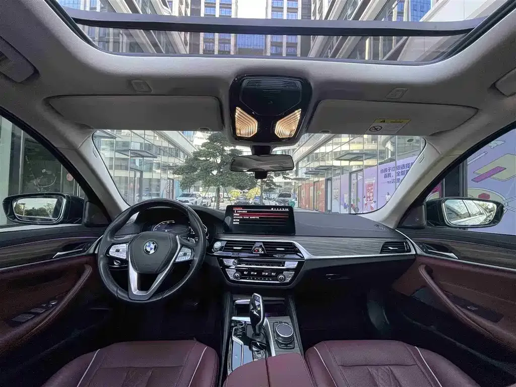 BMW 5 Series 2023 из CN, фото 6
