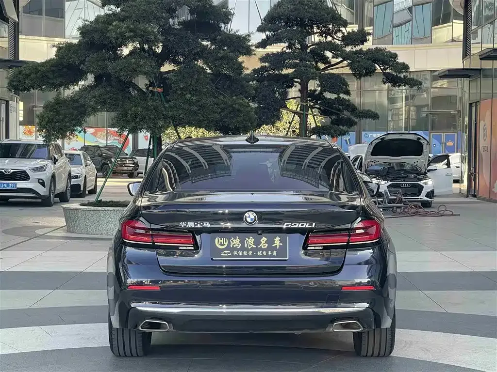 BMW 5 Series 2023 из CN, фото 8