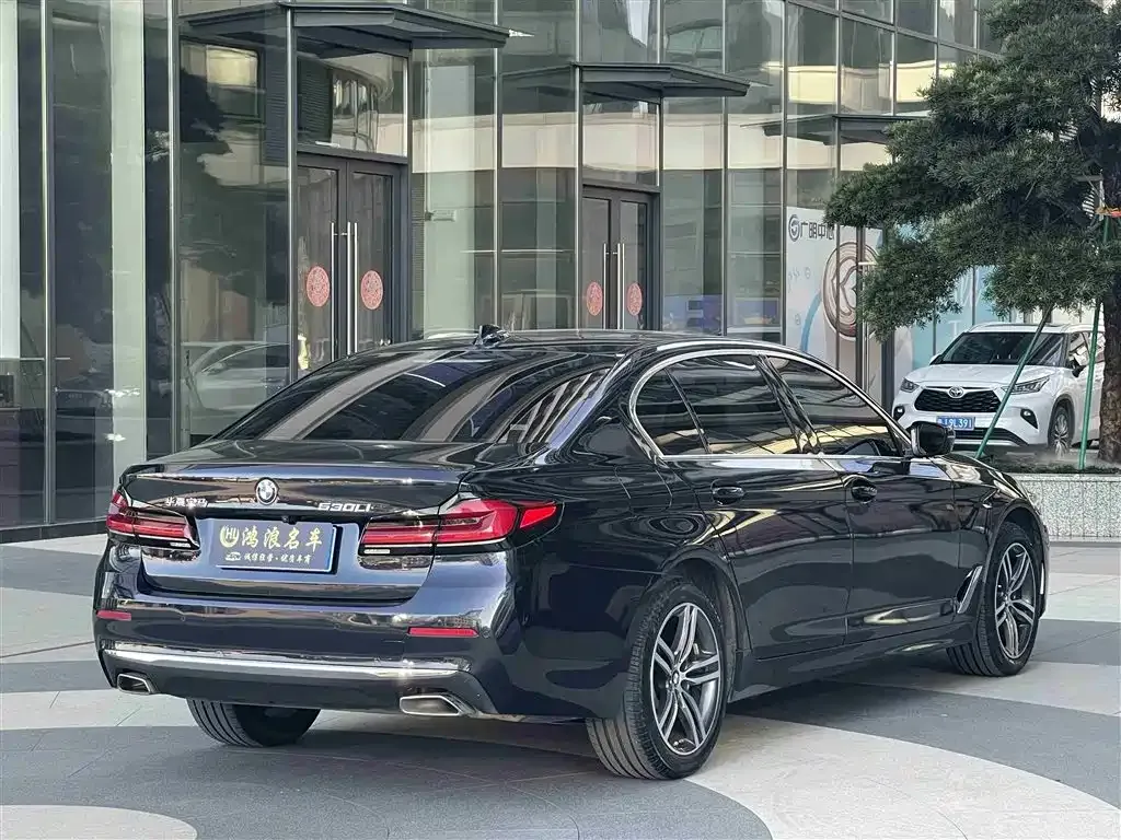 BMW 5 Series 2023 из CN, фото 9