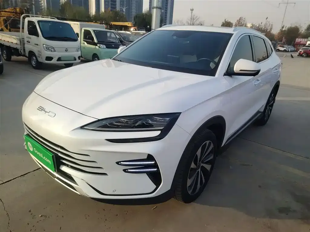 BYD PLUS New Energy 2024 из CN, фото 2
