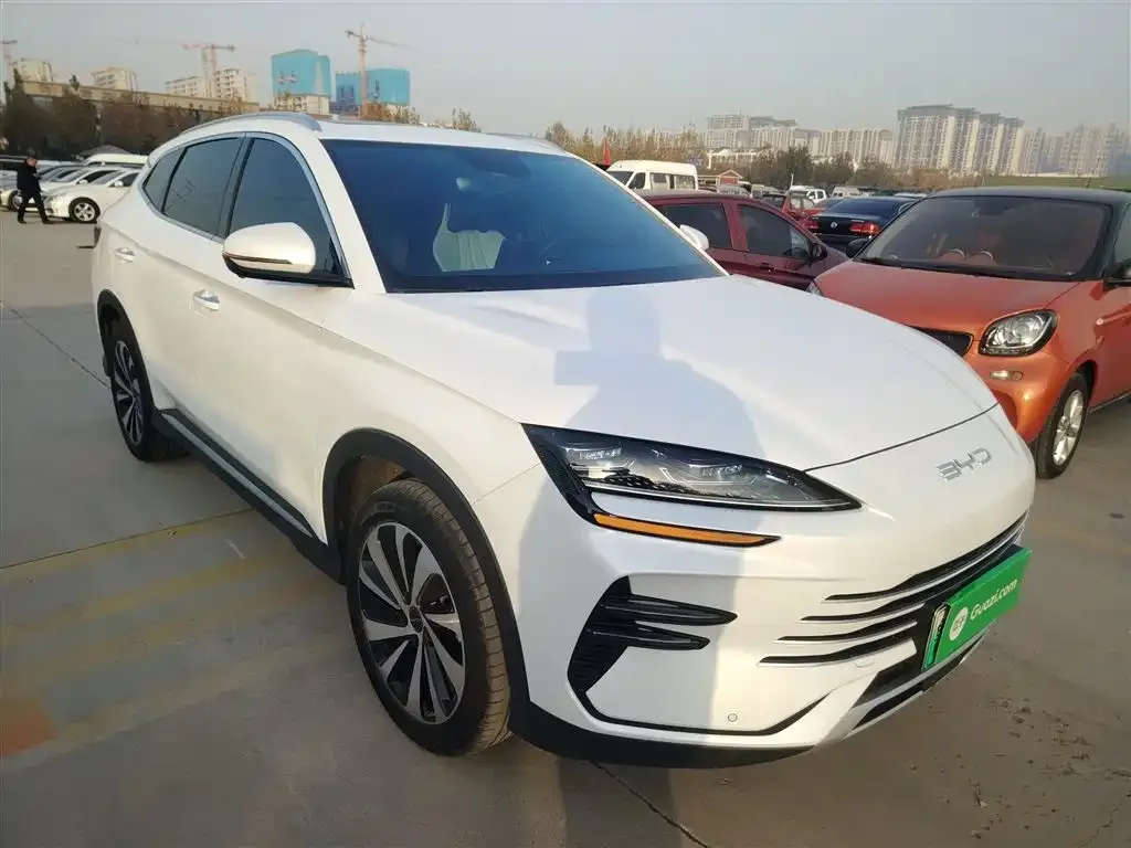 BYD PLUS New Energy 2024 из CN, фото 4