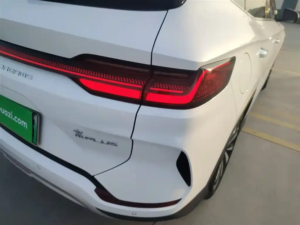 BYD PLUS New Energy 2024 из CN, фото 8