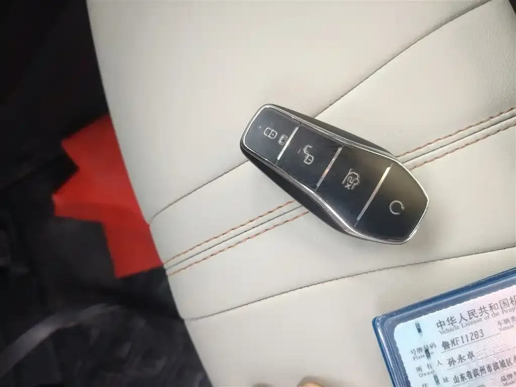 BYD PLUS New Energy 2024 из CN, фото 9