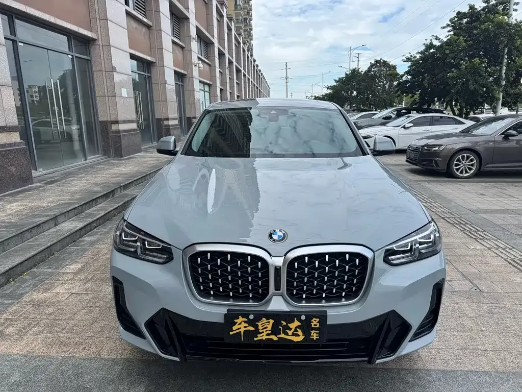BMW X4 2024 из CN, фото 2