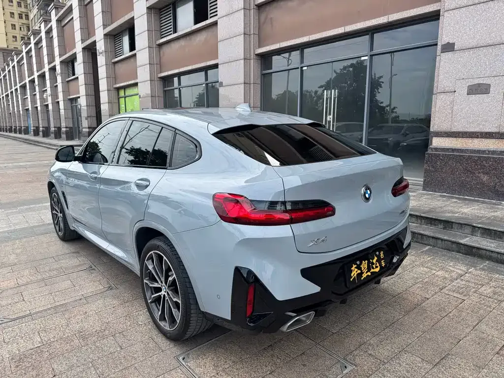 BMW X4 2024 из CN, фото 4