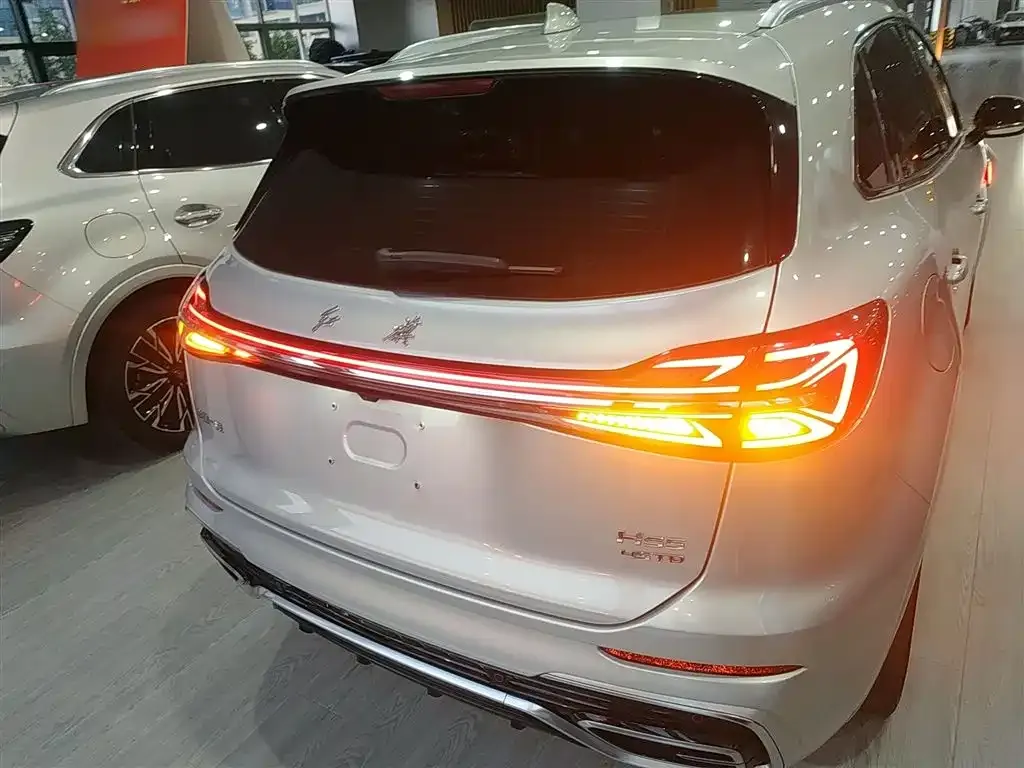 Hongqi HS5 2023 из CN, фото 6