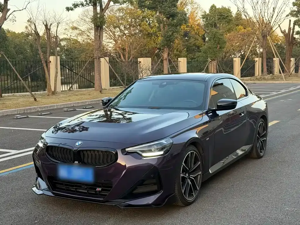 BMW 2 Series (Import) 2022 из CN, фото 1