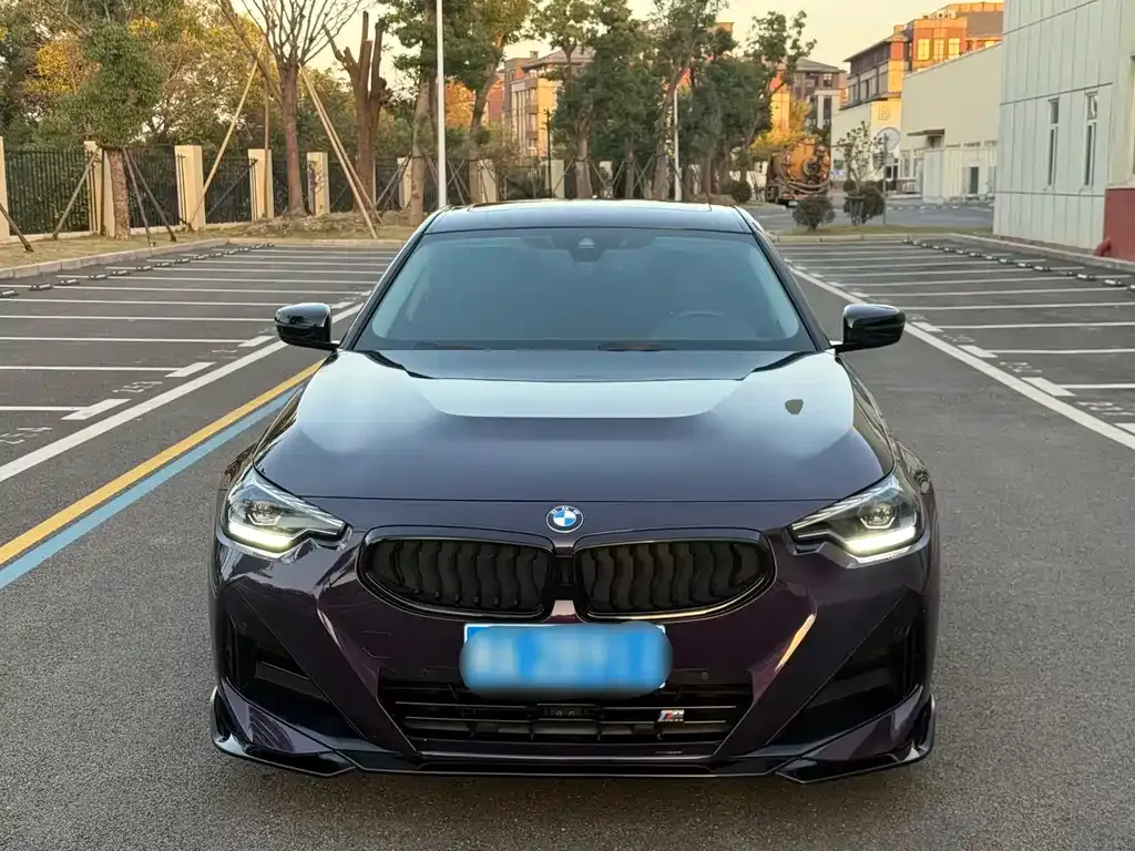 BMW 2 Series (Import) 2022 из CN, фото 2