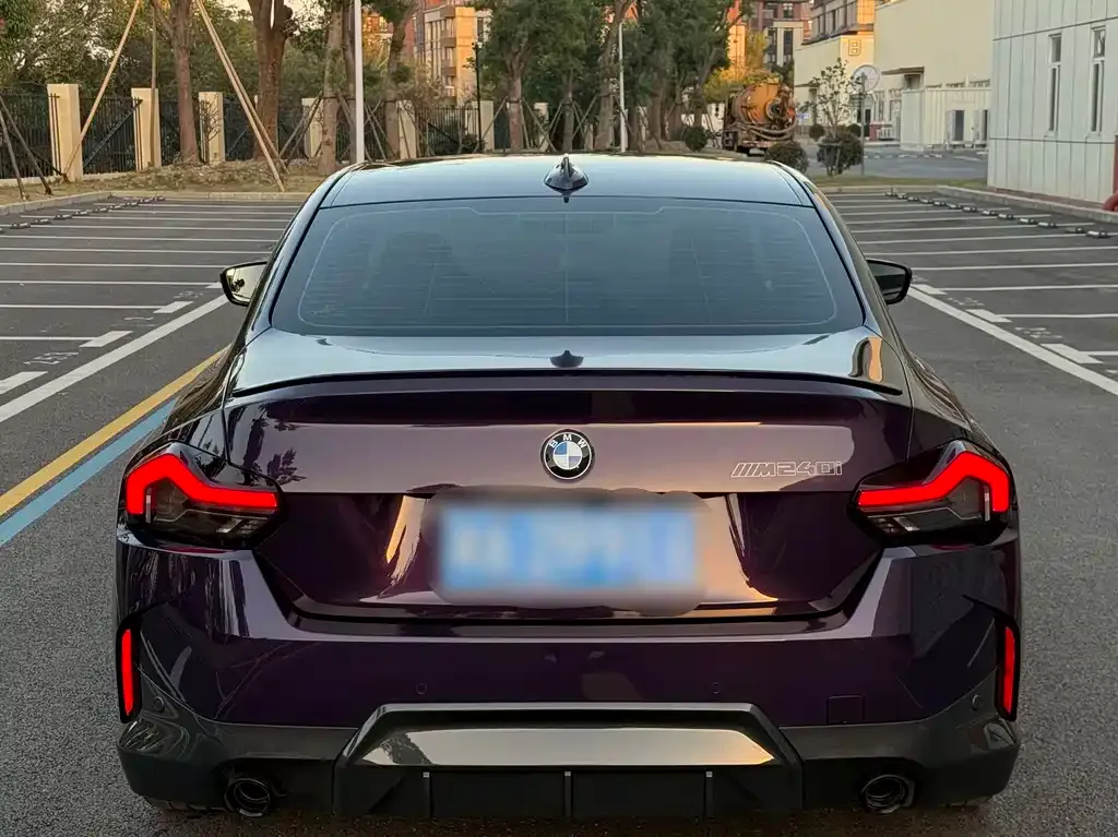 BMW 2 Series (Import) 2022 из CN, фото 4