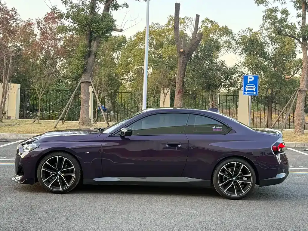 BMW 2 Series (Import) 2022 из CN, фото 5