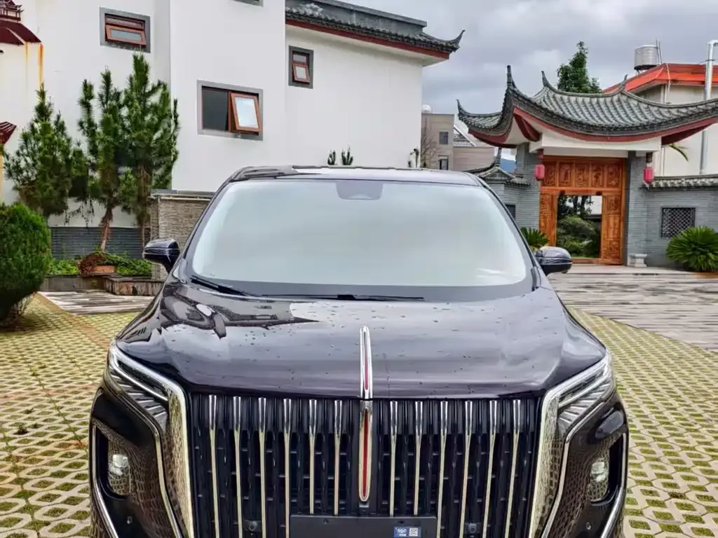 Hongqi HQ9 2023 из CN, фото 1