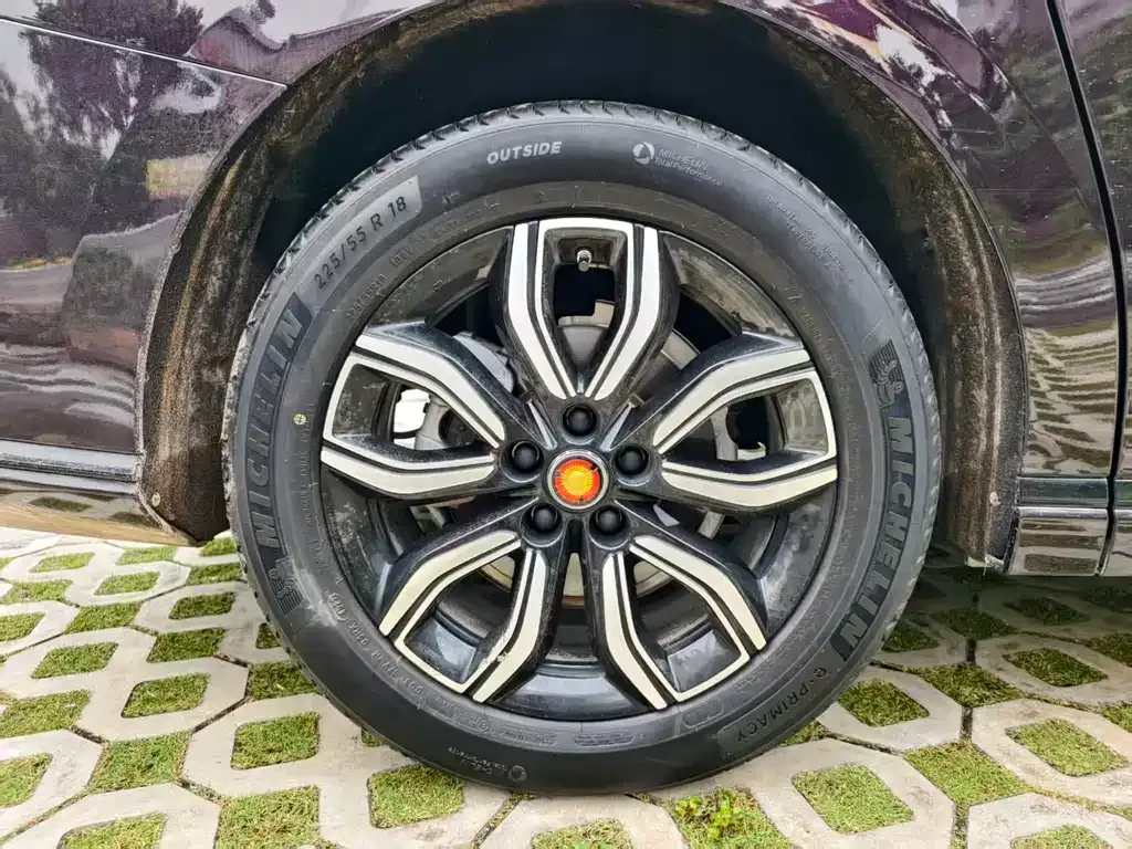 Hongqi HQ9 2023 из CN, фото 6