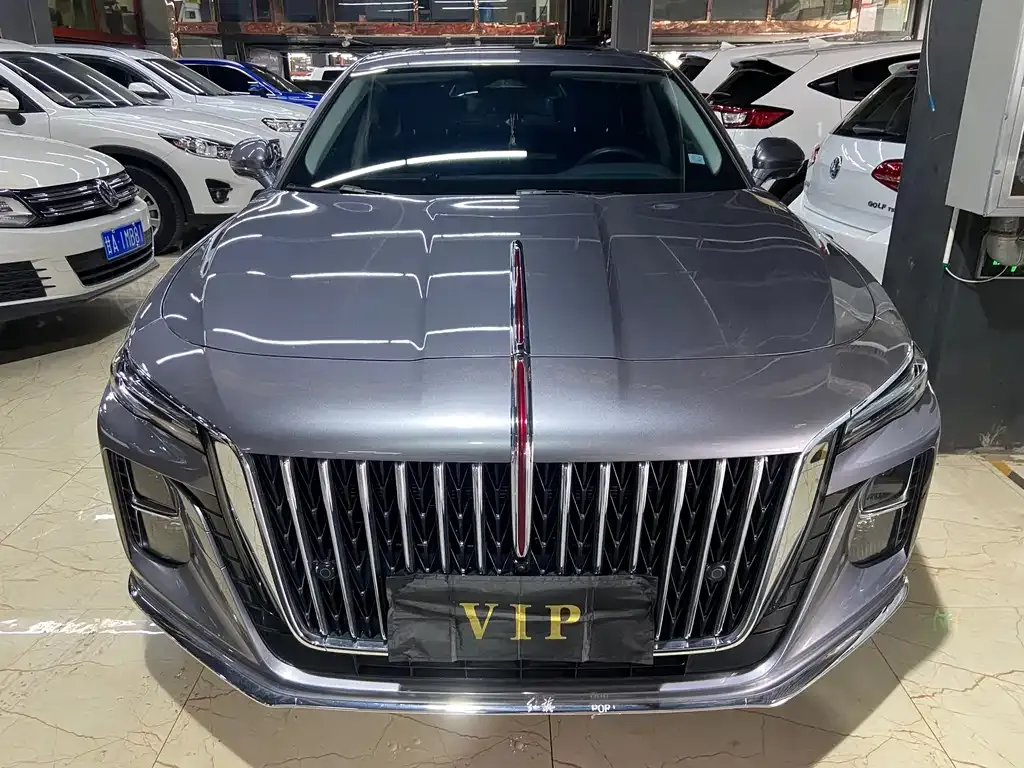 Hongqi H5 2023 из CN, фото 2