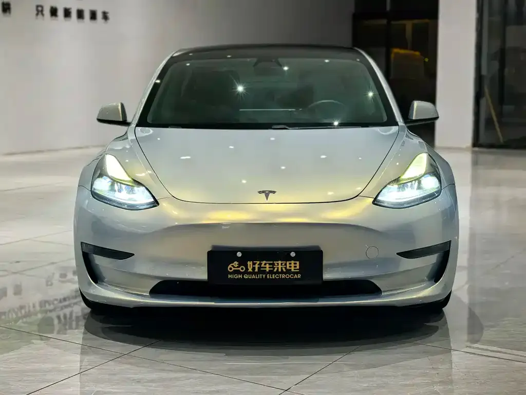 Tesla Model 3 2021 из CN, фото 2