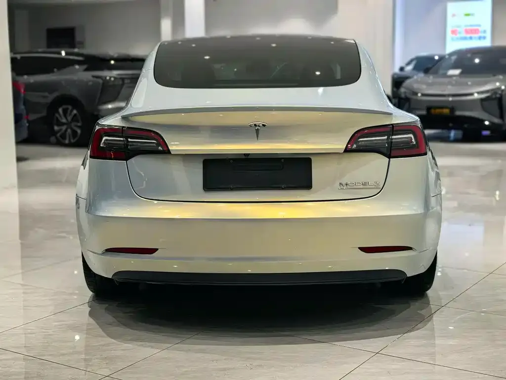 Tesla Model 3 2021 из CN, фото 5