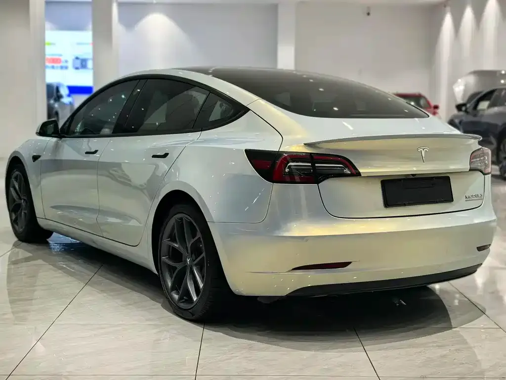 Tesla Model 3 2021 из CN, фото 6