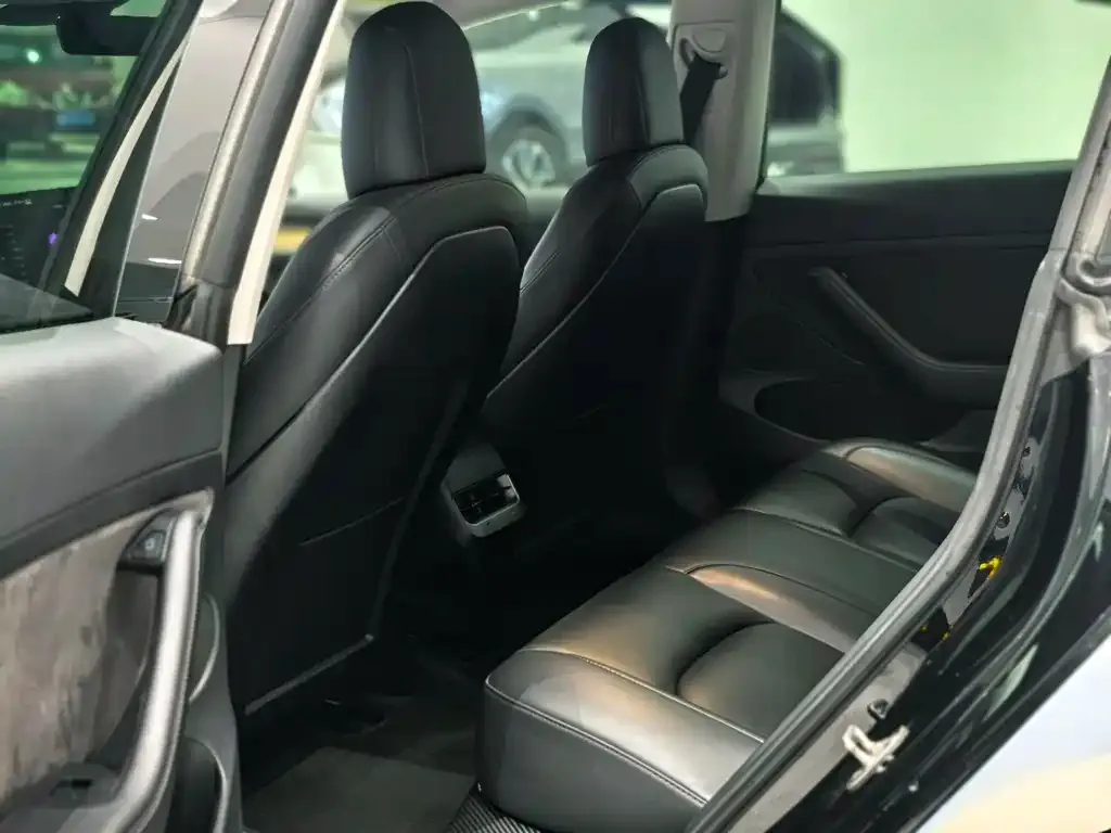 Tesla Model 3 2021 из CN, фото 9