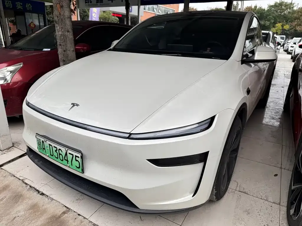 Tesla Model Y 2025 из CN, фото 1