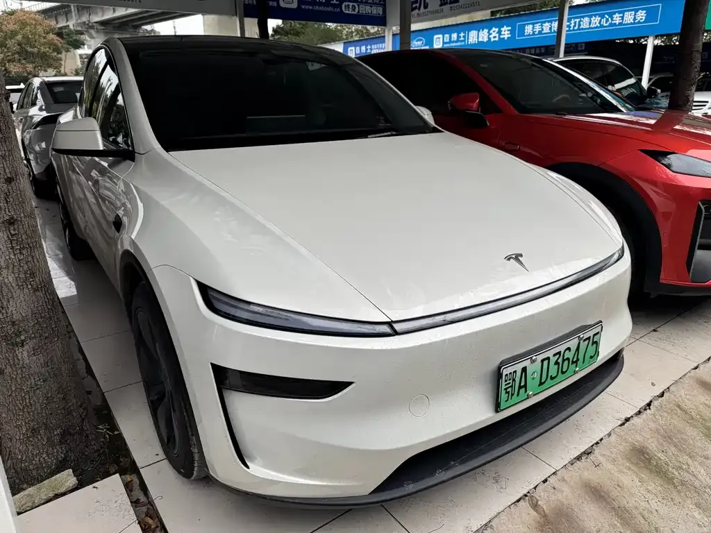 Tesla Model Y 2025 из CN, фото 2