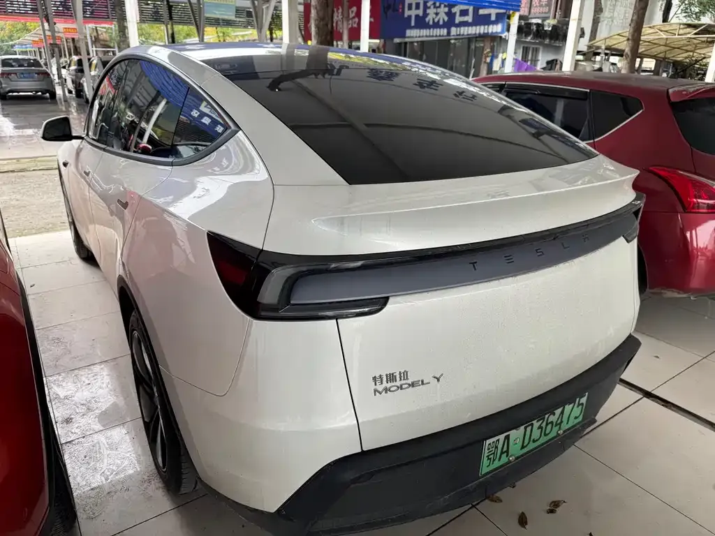 Tesla Model Y 2025 из CN, фото 8