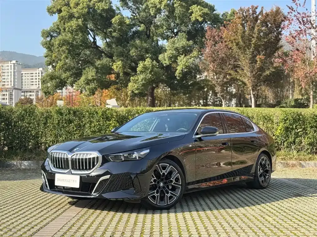BMW 5 Series 2024 из CN, фото 1