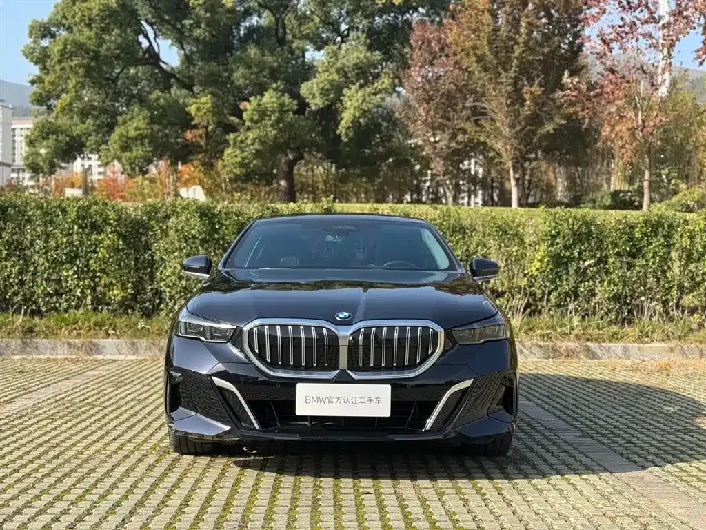 BMW 5 Series 2024 из CN, фото 2