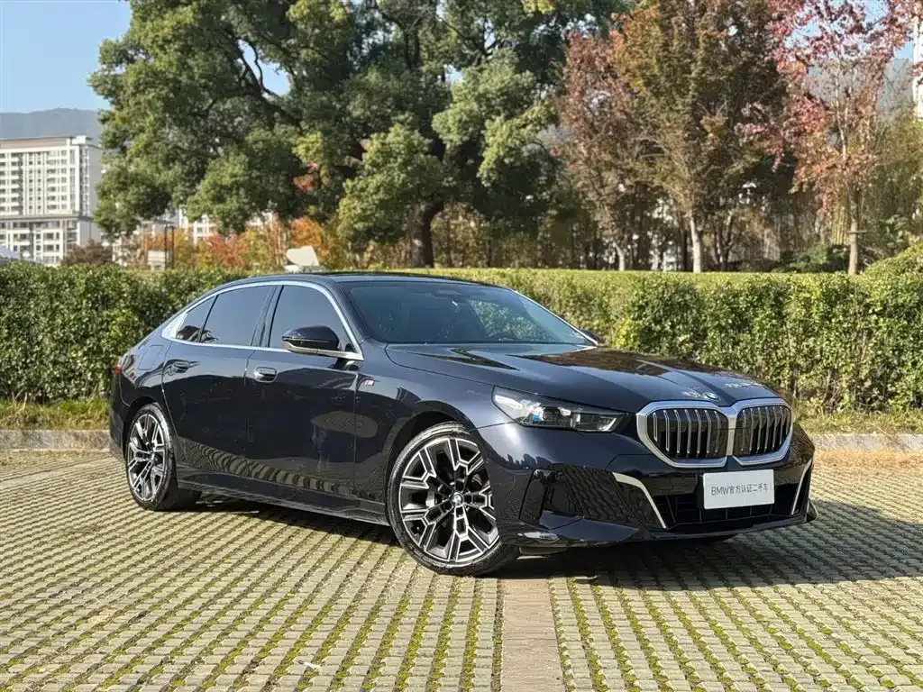 BMW 5 Series 2024 из CN, фото 3