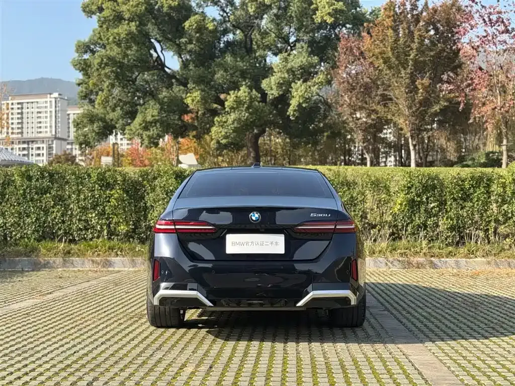 BMW 5 Series 2024 из CN, фото 7