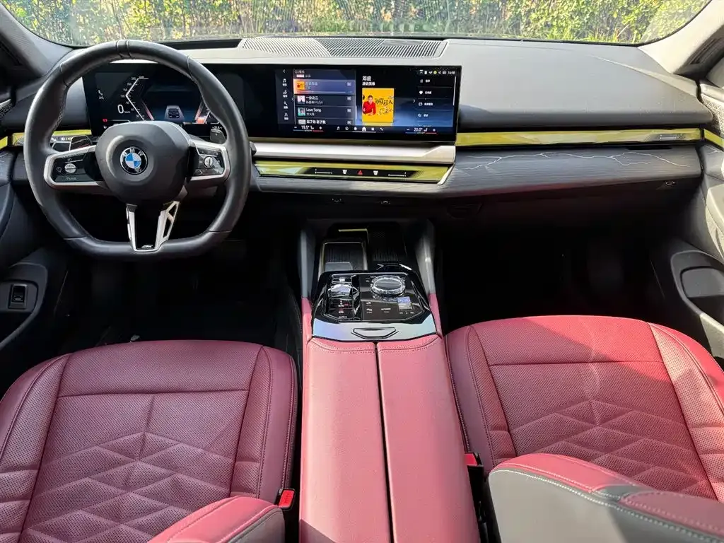 BMW 5 Series 2024 из CN, фото 9