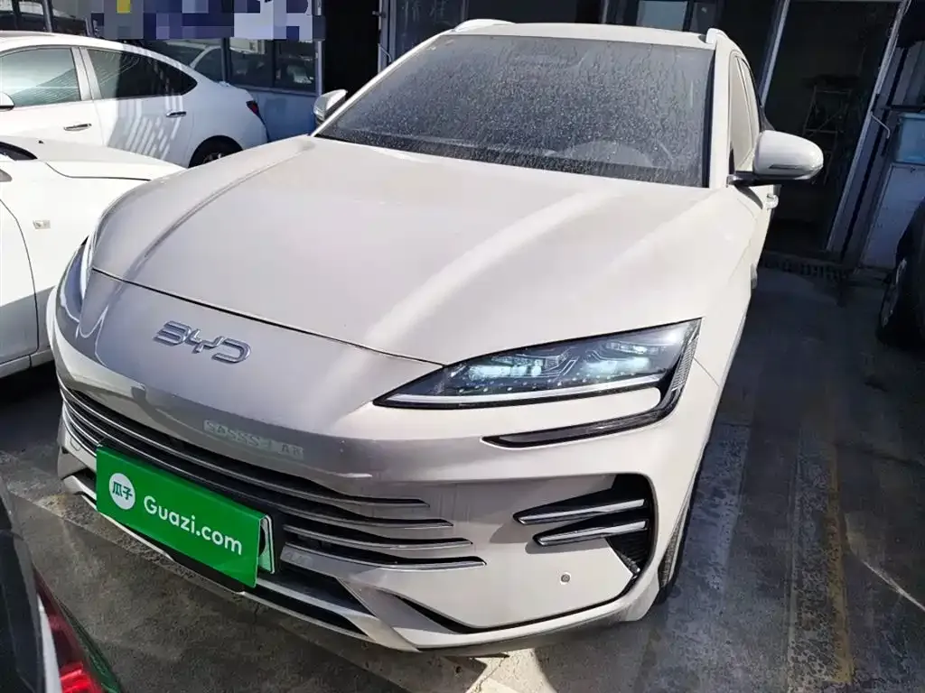 BYD PLUS New Energy 2025 из CN, фото 3