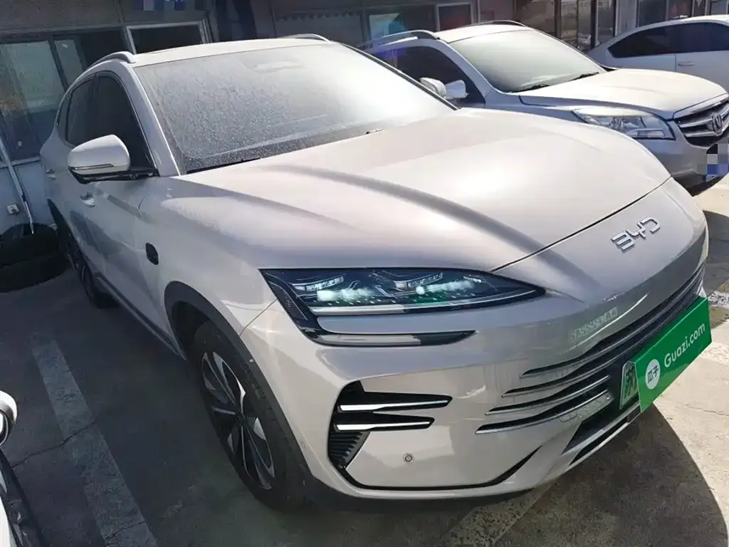 BYD PLUS New Energy 2025 из CN, фото 4
