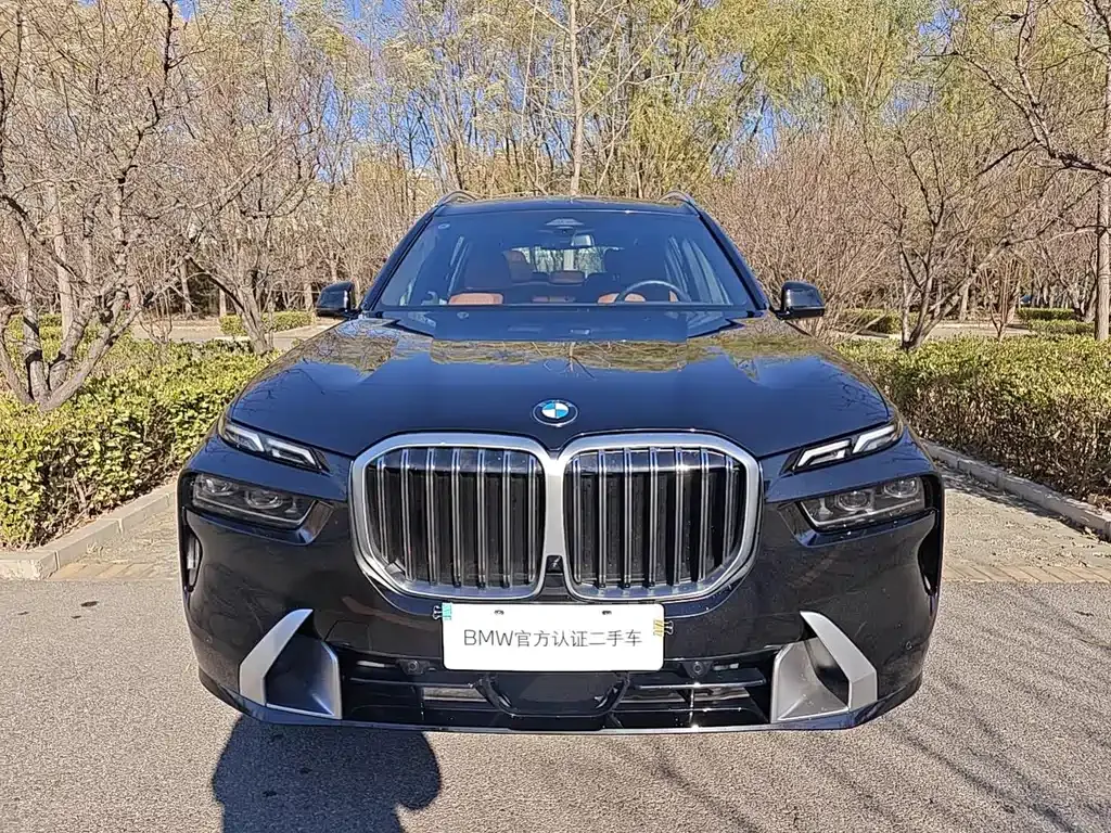 BMW X7 — фото 2