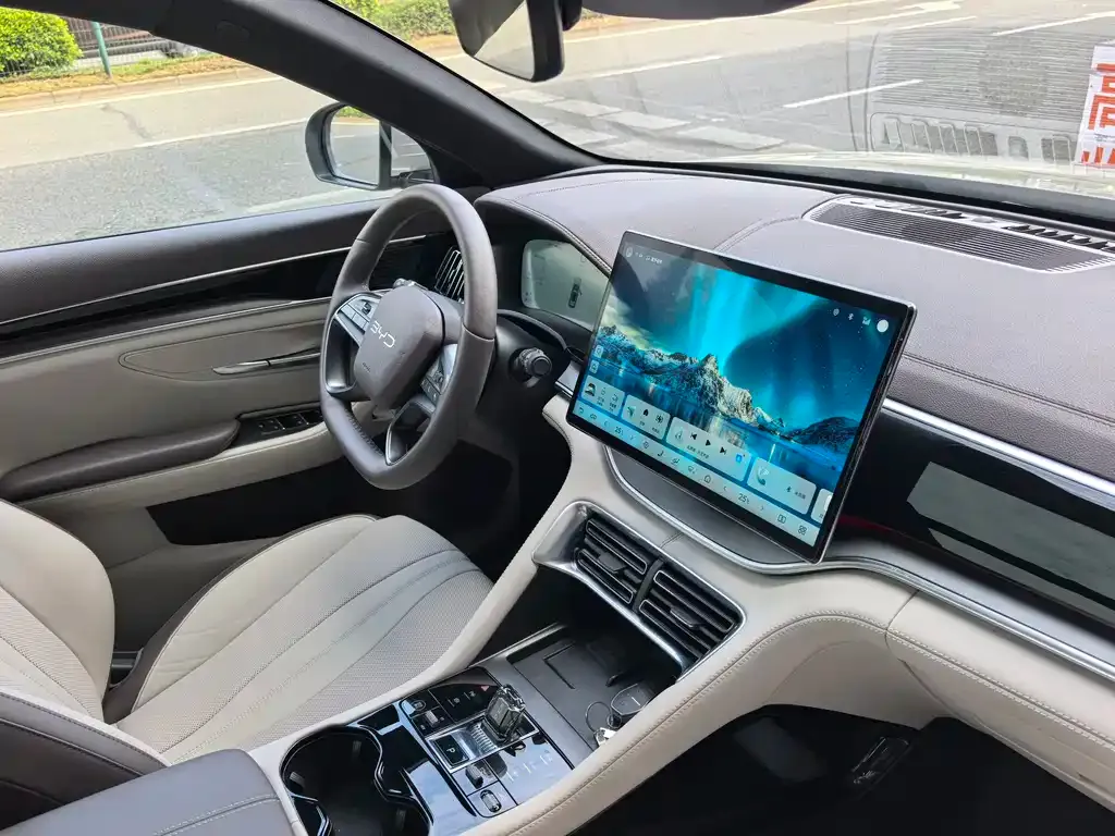 BYD PLUS New Energy 2025 из CN, фото 8