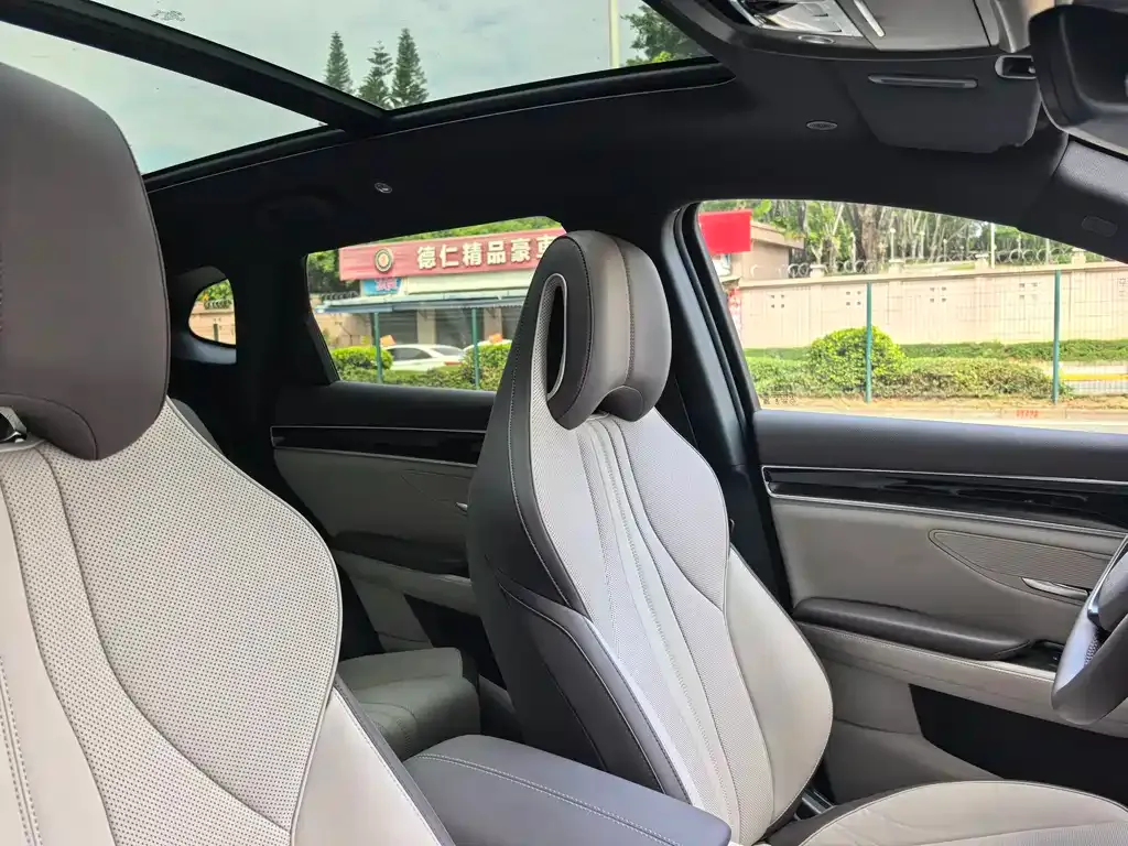 BYD PLUS New Energy 2025 из CN, фото 9