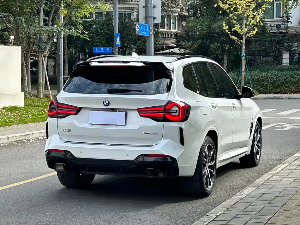 BMW X3 2024 из CN, фото 8
