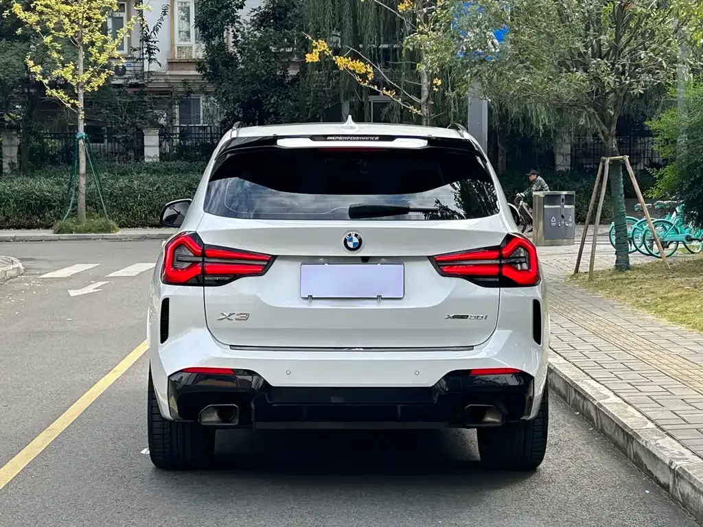 BMW X3 2024 из CN, фото 9