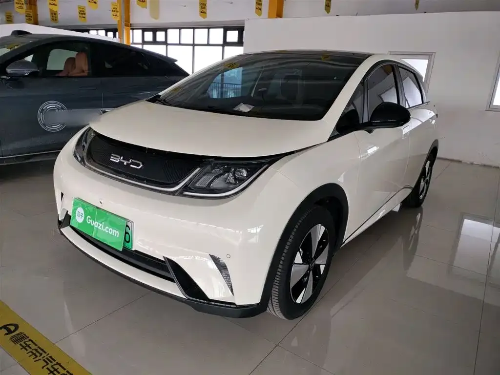 BYD Dolphin 2024 из CN, фото 1