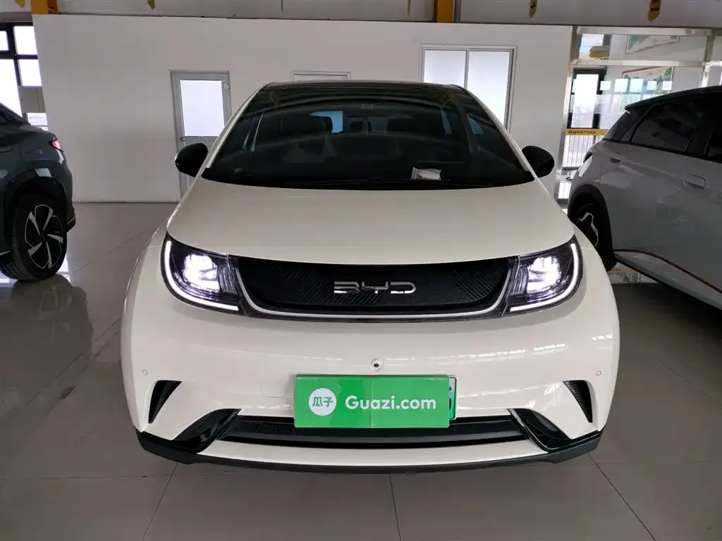 BYD Dolphin 2024 из CN, фото 3