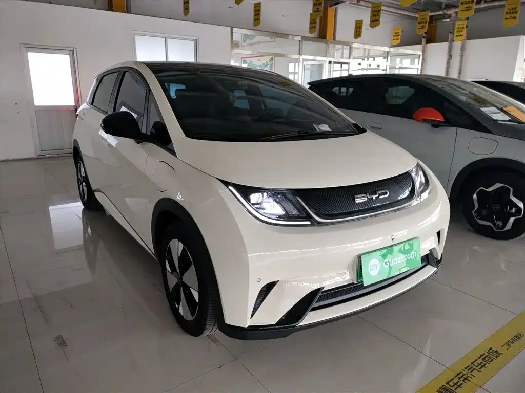 BYD Dolphin 2024 из CN, фото 4