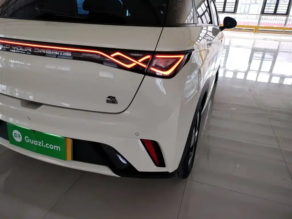 BYD Dolphin 2024 из CN, фото 8
