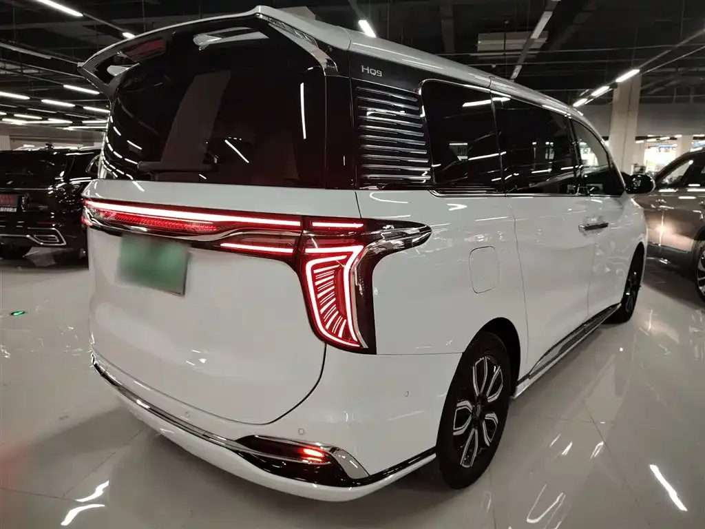 Hongqi HQ9 2023 из CN, фото 7