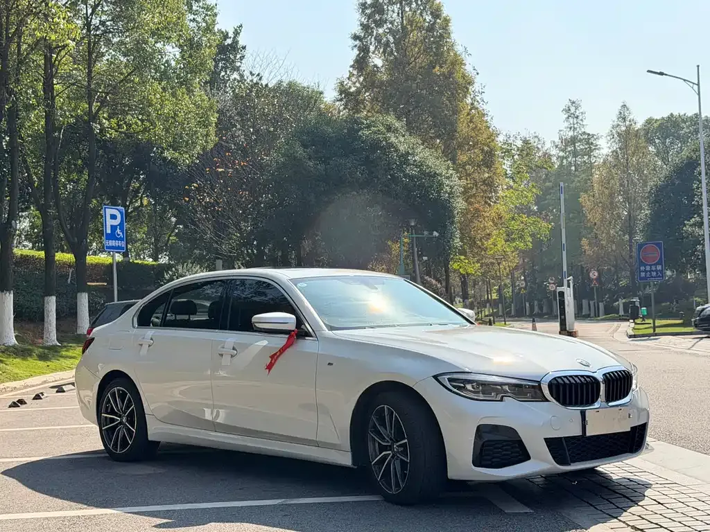 BMW 3 Series 2022 из CN, фото 3