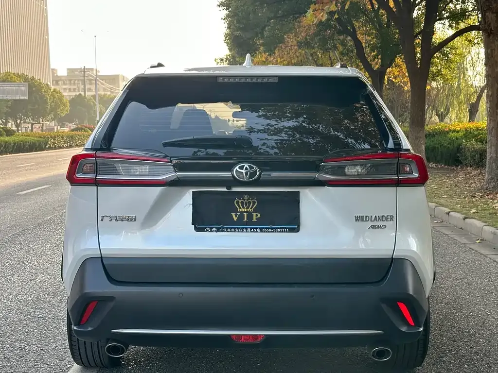 Toyota Wildlander 2023 из CN, фото 7