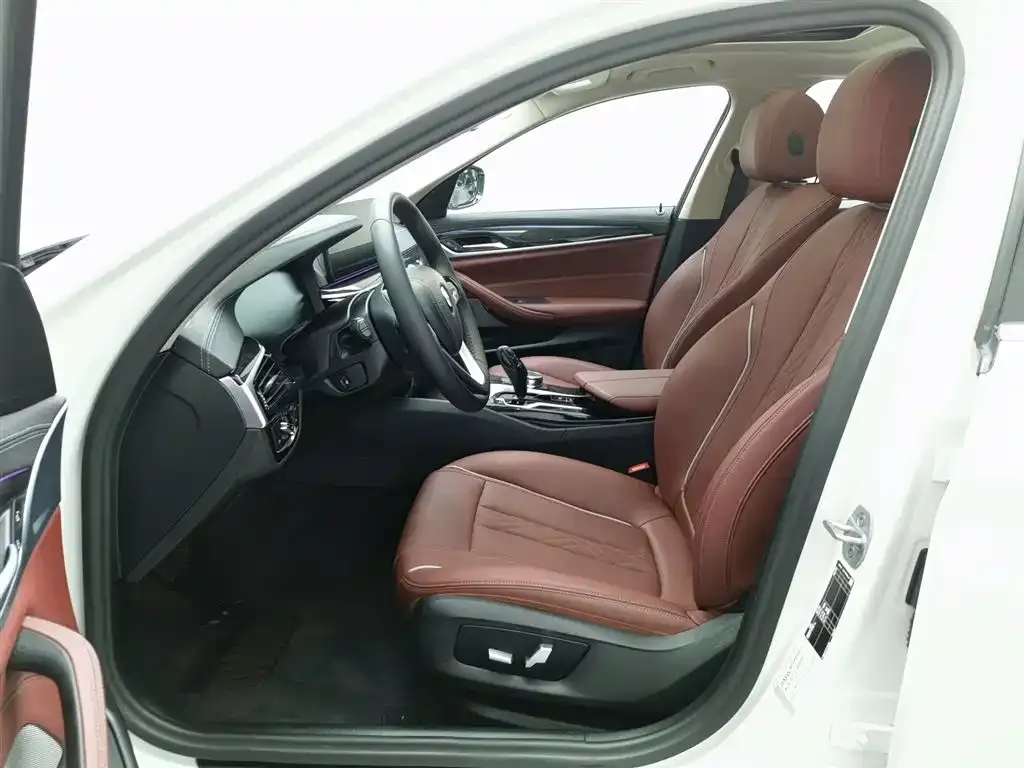 BMW 5 Series 2023 из CN, фото 10